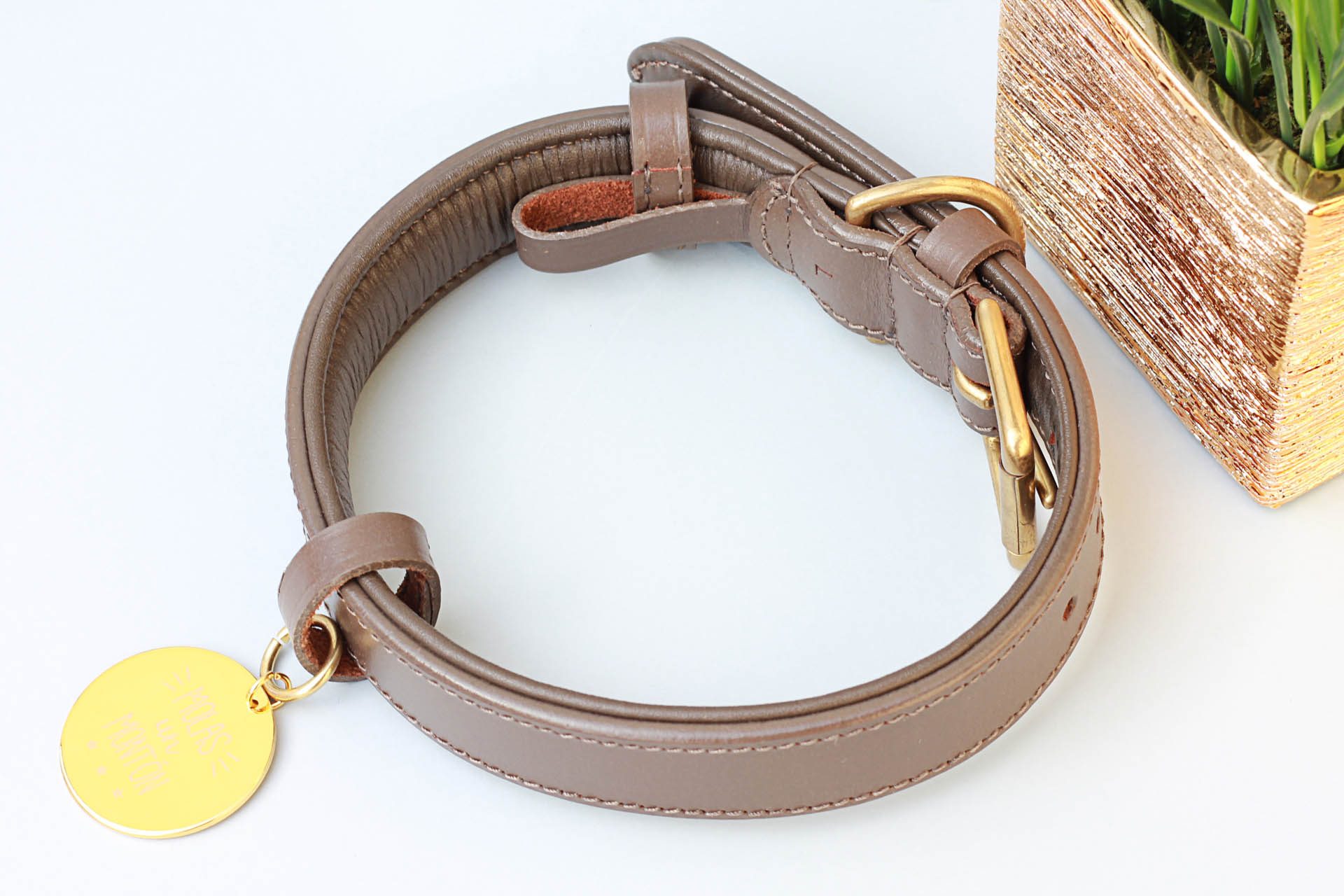 collar-para-perro-de-piel-color-taupe-003